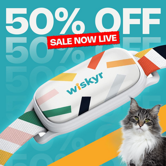 wiskyr Smart Collar